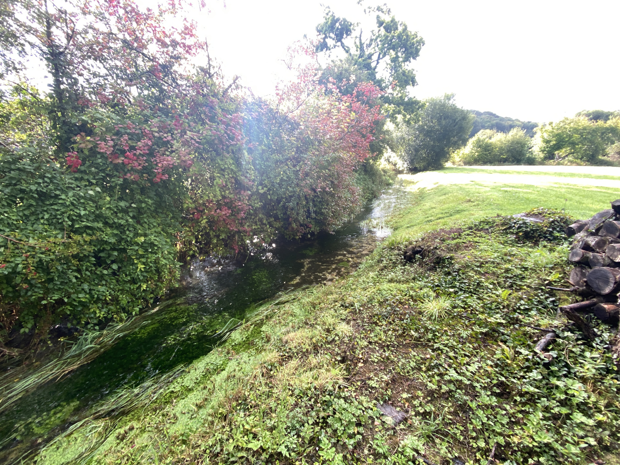 TERRAIN DE LOISIR  DE 7130 M2 AVEC UN ETANG