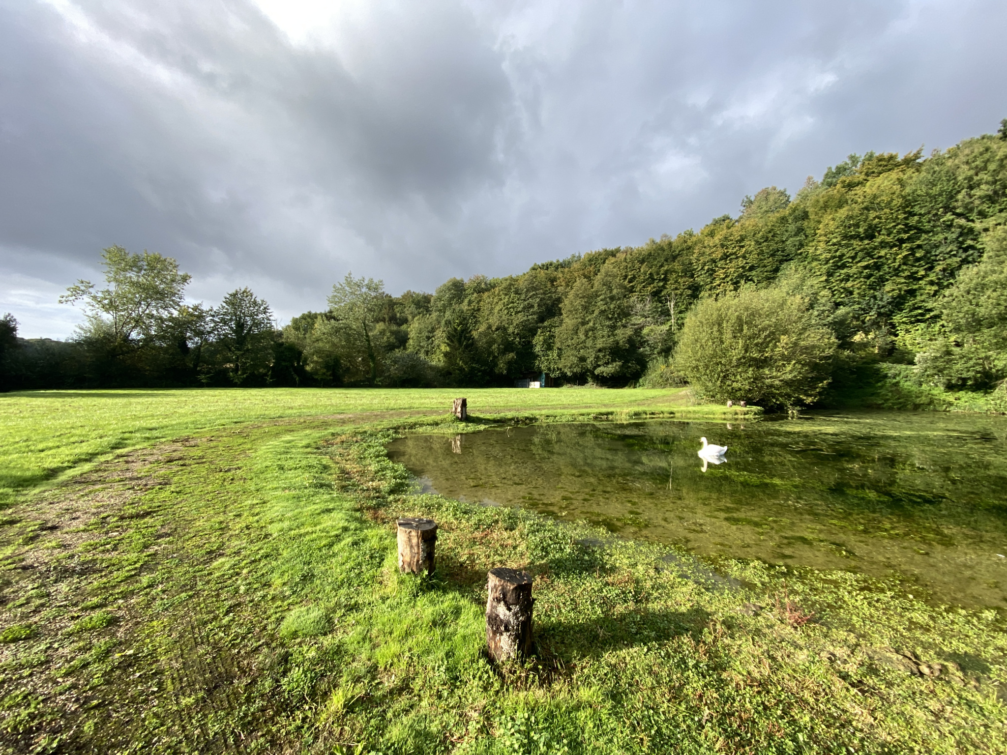 TERRAIN DE LOISIR  DE 7130 M2 AVEC UN ETANG