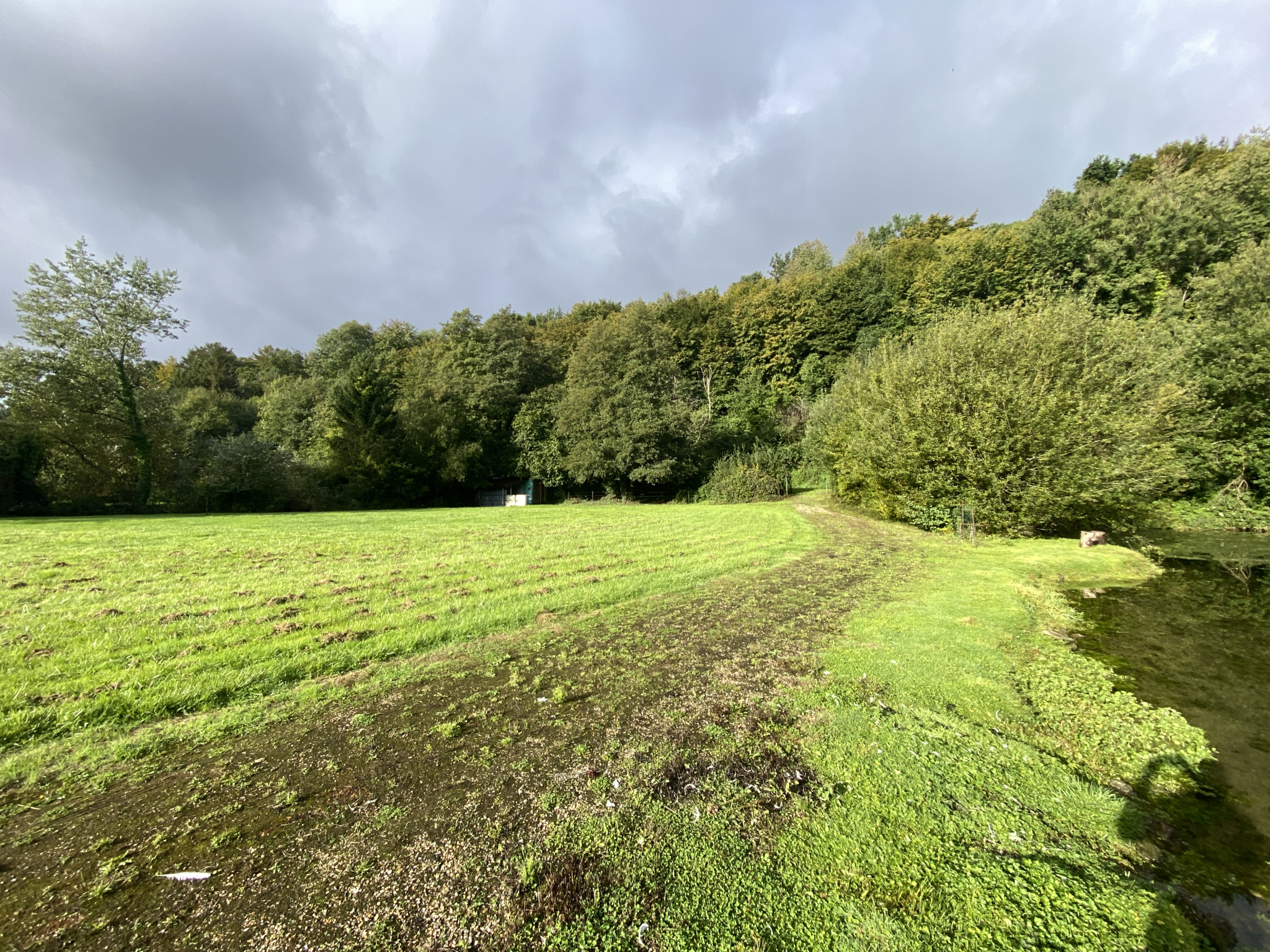 TERRAIN DE LOISIR  DE 7130 M2 AVEC UN ETANG