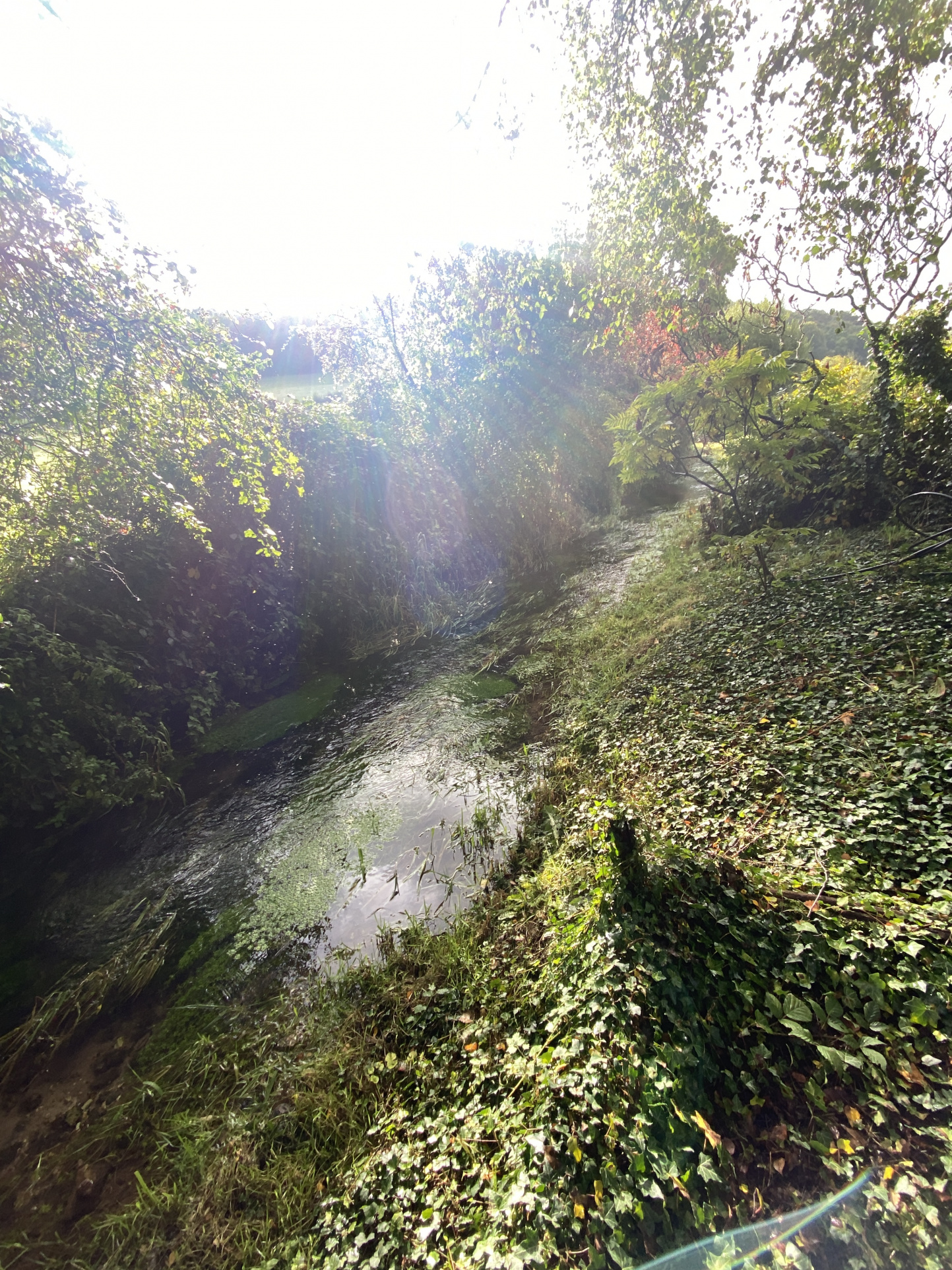 TERRAIN DE LOISIR  DE 7130 M2 AVEC UN ETANG
